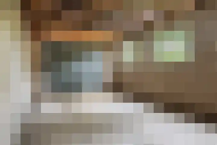 De Bou 19 Beetsterzwaag thumbnail 14