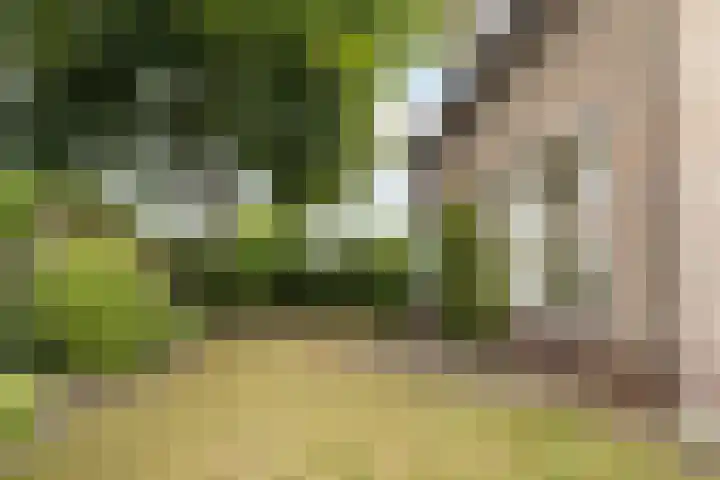De Bou 19 Beetsterzwaag thumbnail 15