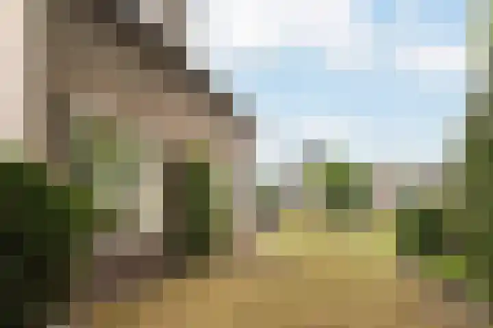De Bou 19 Beetsterzwaag thumbnail 17