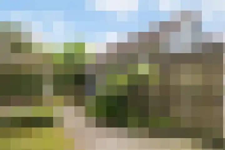 De Bou 19 Beetsterzwaag thumbnail 18