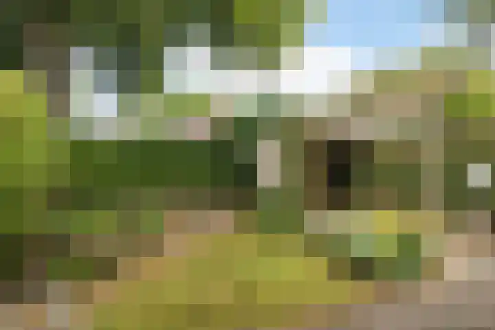 De Bou 19 Beetsterzwaag thumbnail 19