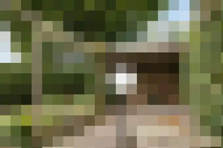 De Bou 19 Beetsterzwaag thumbnail 20