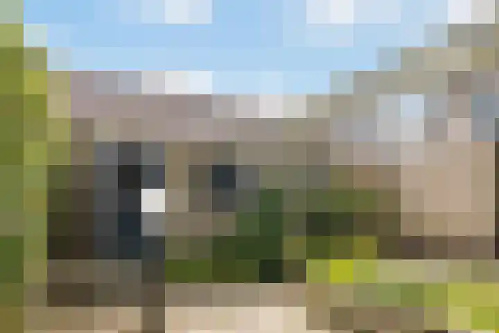De Bou 19 Beetsterzwaag thumbnail 21