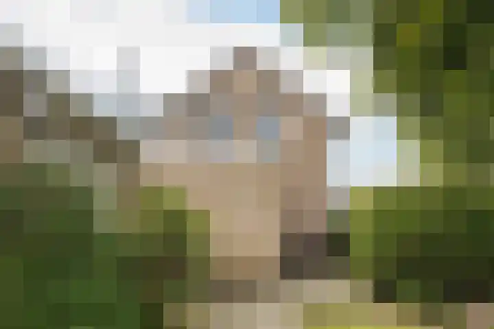 De Bou 19 Beetsterzwaag thumbnail 22