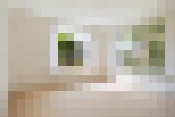 De Bou 19 Beetsterzwaag thumbnail 25