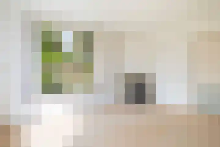De Bou 19 Beetsterzwaag thumbnail 26