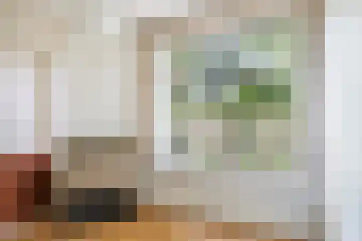 De Bou 19 Beetsterzwaag thumbnail 29