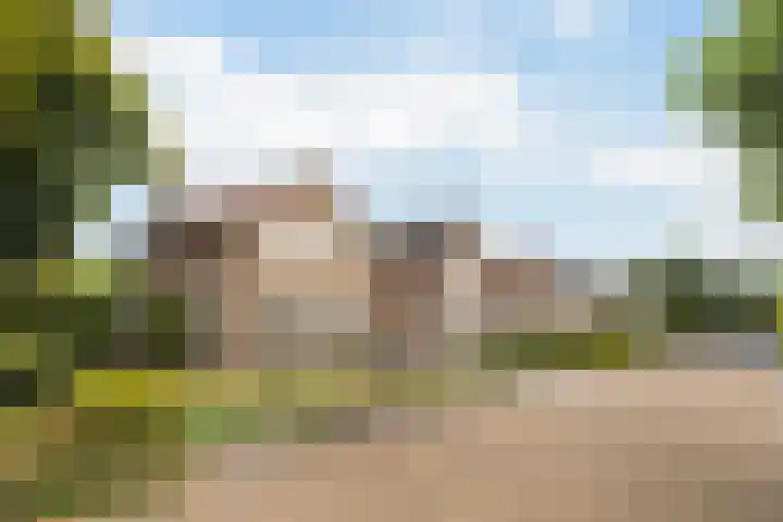 De Bou 19 Beetsterzwaag foto 3