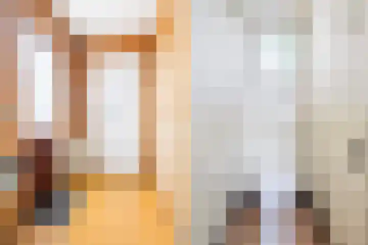 De Bou 19 Beetsterzwaag thumbnail 34