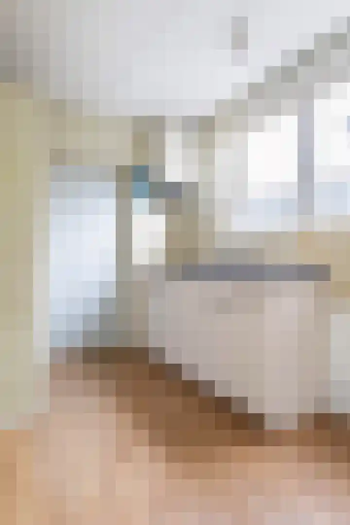 De Bou 19 Beetsterzwaag thumbnail 35