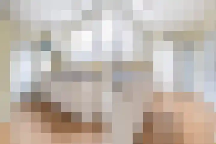 De Bou 19 Beetsterzwaag thumbnail 36