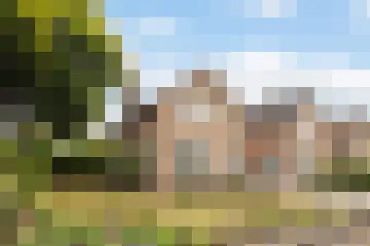 De Bou 19 Beetsterzwaag thumbnail 4