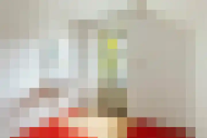 De Bou 19 Beetsterzwaag thumbnail 41