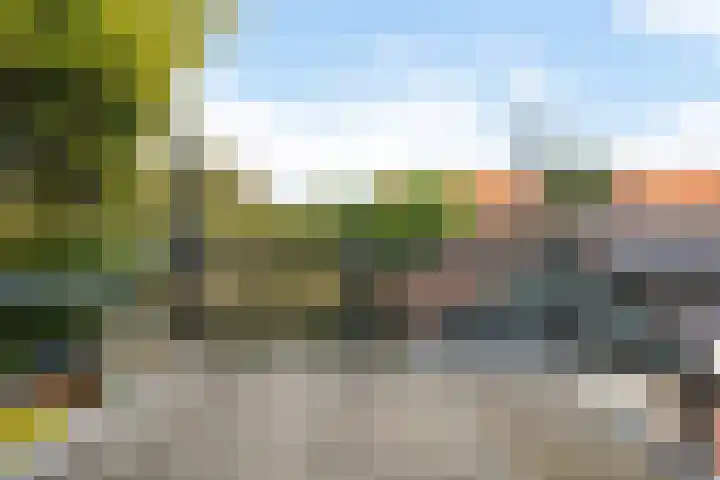 De Bou 19 Beetsterzwaag thumbnail 42