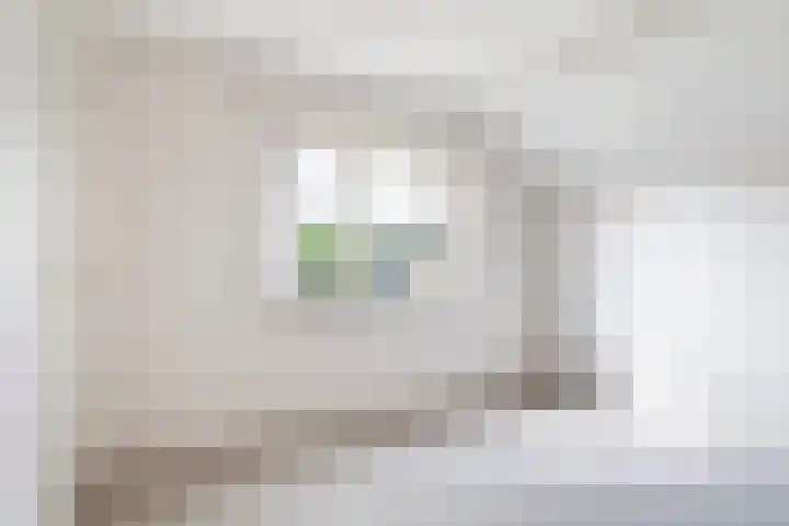 De Bou 19 Beetsterzwaag thumbnail 44