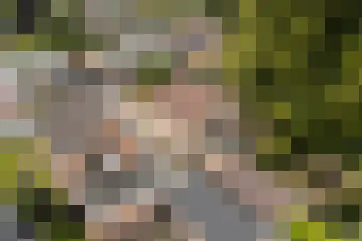 De Bou 19 Beetsterzwaag thumbnail 48
