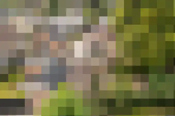 De Bou 19 Beetsterzwaag thumbnail 49