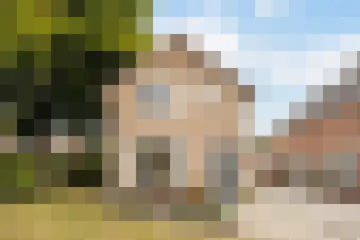 De Bou 19 Beetsterzwaag thumbnail 5