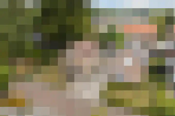 De Bou 19 Beetsterzwaag thumbnail 50