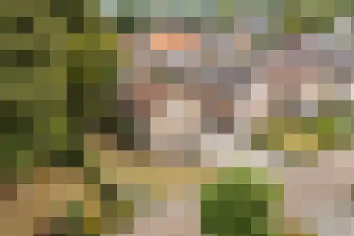 De Bou 19 Beetsterzwaag thumbnail 51