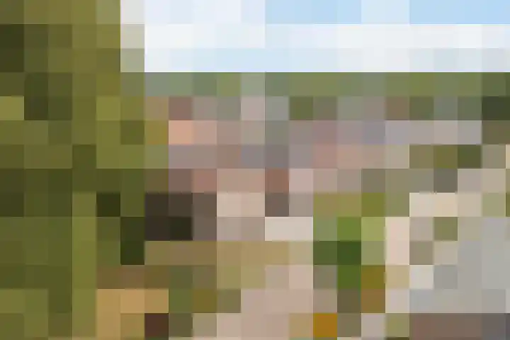 De Bou 19 Beetsterzwaag thumbnail 52