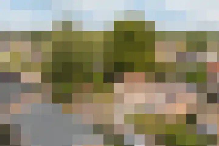 De Bou 19 Beetsterzwaag thumbnail 53