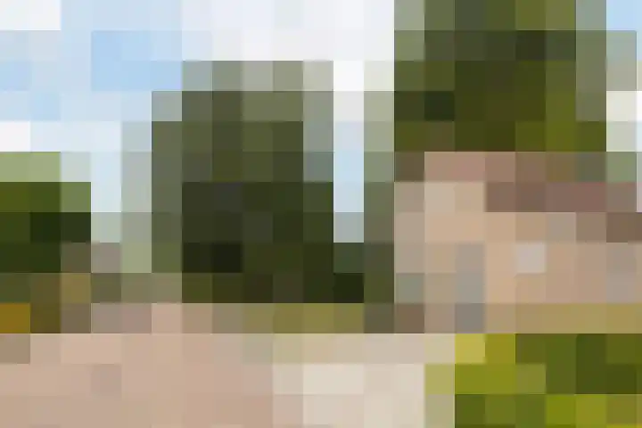 De Bou 19 Beetsterzwaag thumbnail 7