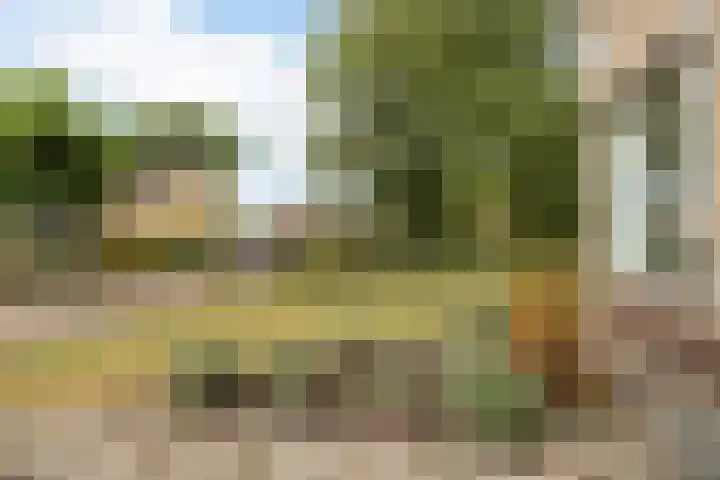 De Bou 19 Beetsterzwaag thumbnail 9
