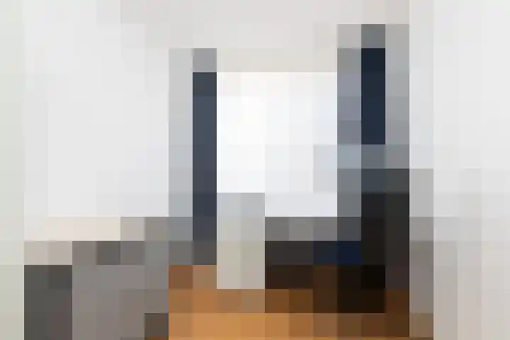 De Bou 23 Oppenhuizen thumbnail 12