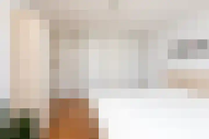 De Bou 23 Oppenhuizen thumbnail 13