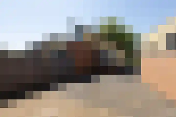 De Bou 23 Oppenhuizen thumbnail 25