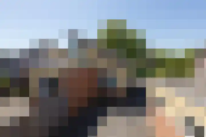 De Bou 23 Oppenhuizen thumbnail 26
