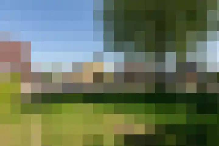 De Bou 23 Oppenhuizen thumbnail 38