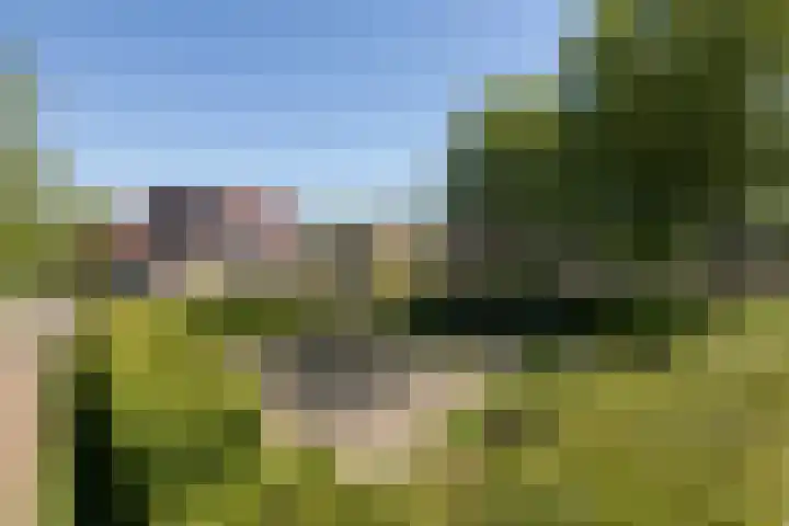 De Bou 23 Oppenhuizen thumbnail 39