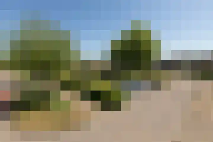 De Bou 23 Oppenhuizen thumbnail 40