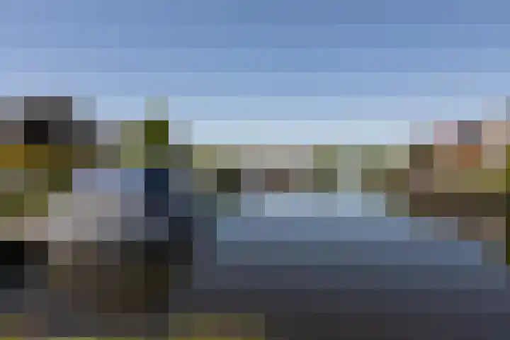 De Bou 23 Oppenhuizen thumbnail 41