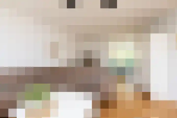 De Bou 23 Oppenhuizen thumbnail 5