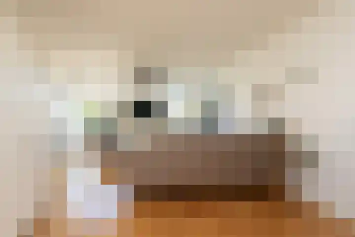 De Bou 23 Oppenhuizen thumbnail 6
