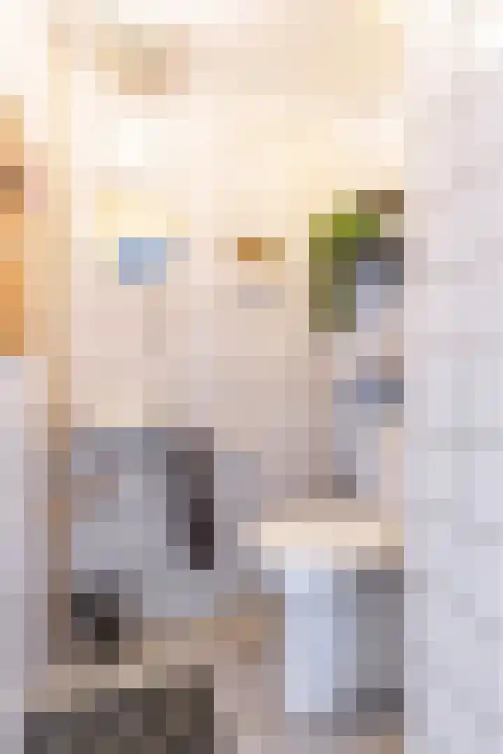 De Bou 44 Beetsterzwaag thumbnail 10