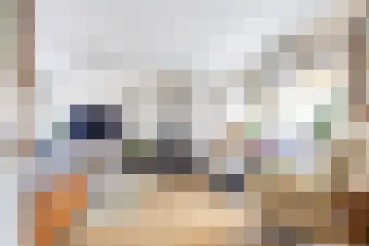 De Bou 44 Beetsterzwaag thumbnail 12