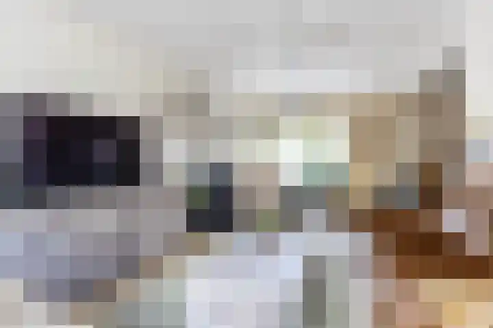 De Bou 44 Beetsterzwaag thumbnail 15
