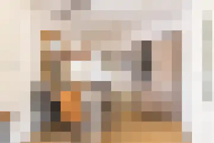 De Bou 44 Beetsterzwaag thumbnail 17