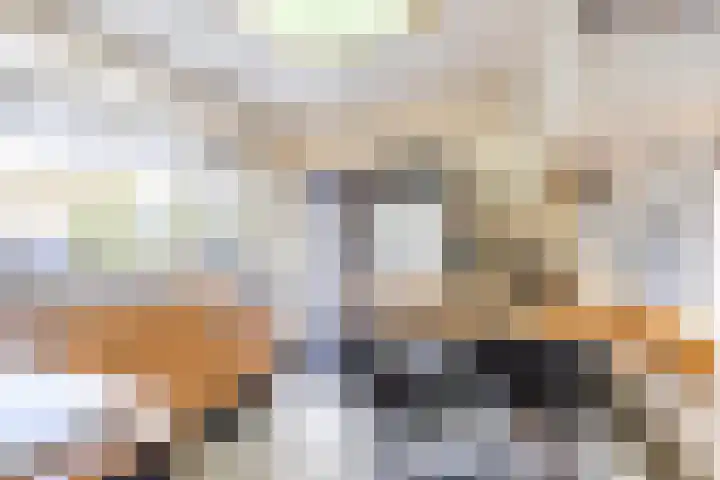 De Bou 44 Beetsterzwaag thumbnail 18