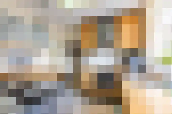 De Bou 44 Beetsterzwaag thumbnail 20