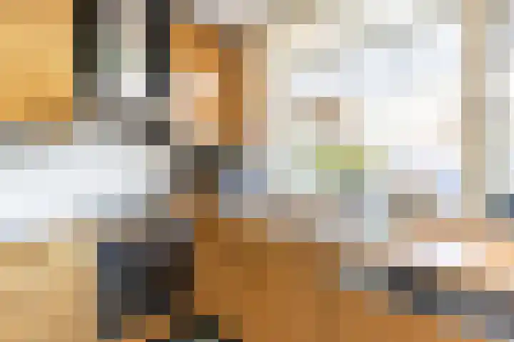 De Bou 44 Beetsterzwaag thumbnail 21