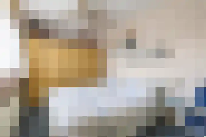 De Bou 44 Beetsterzwaag thumbnail 23