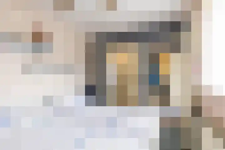 De Bou 44 Beetsterzwaag thumbnail 24