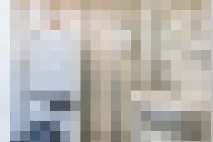 De Bou 44 Beetsterzwaag thumbnail 25