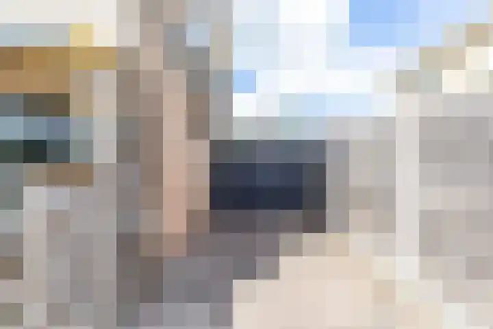 De Bou 44 Beetsterzwaag thumbnail 31