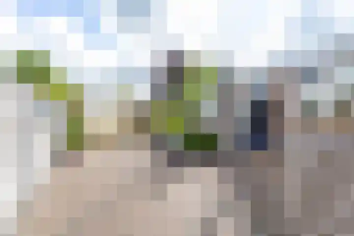 De Bou 44 Beetsterzwaag thumbnail 32